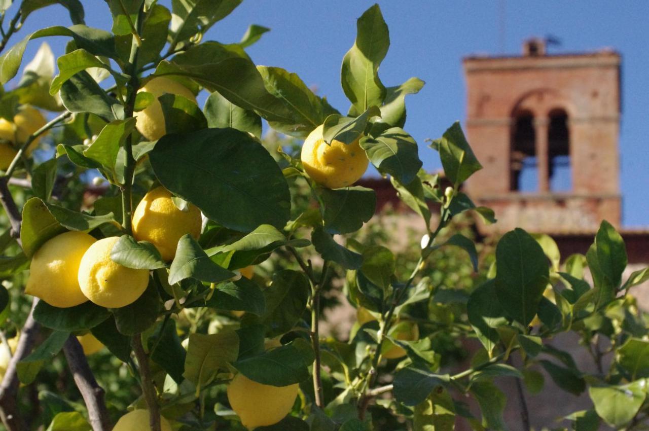 Monastero Sant'Anna In Camprena Villa Pienza Eksteriør bilde