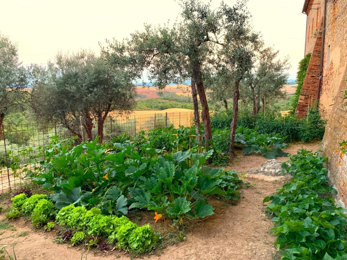 Fattoria Monastero Sant'Anna In Camprena Villa Pienza Eksteriør bilde